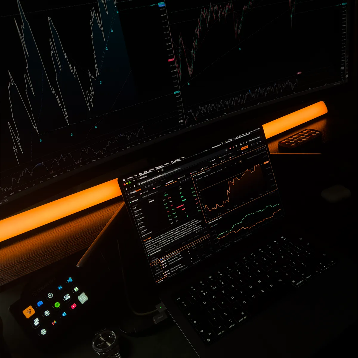 A WatchTower member using the terminal